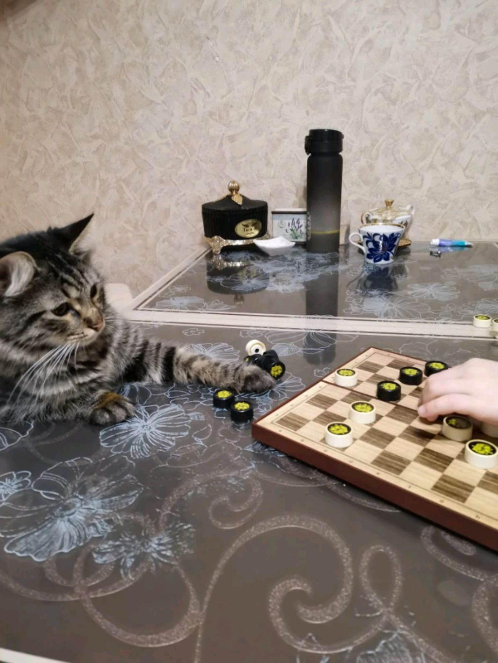 Мотя играет в шашки