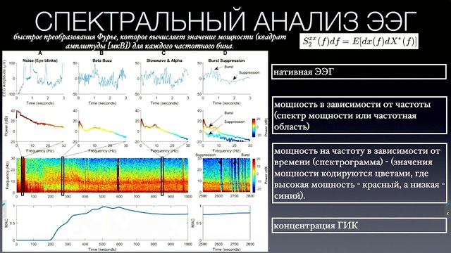 Неирофизиология для анестезиолога. ЭЭГ.