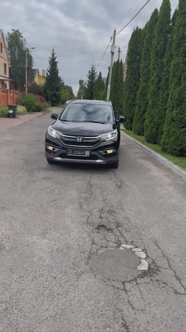 -7062977799732439402