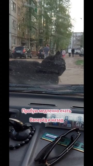 Это нереальная ржака🤣 Подписываемся 😉