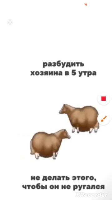 Сложный и смешной выбор одновременно