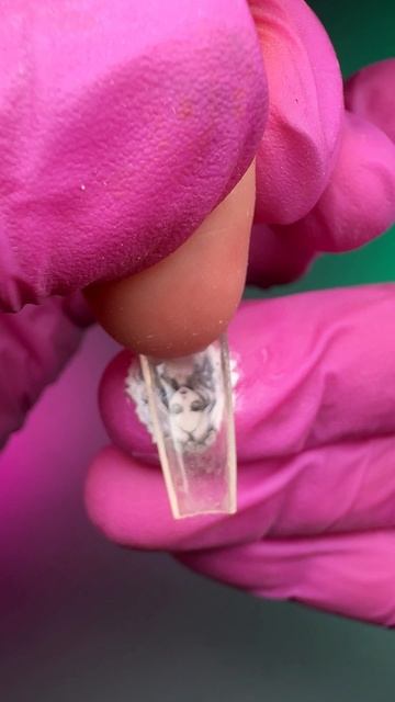 Коррекция ногтей с гелевыми типсами  Маникюр с дизайном на изнанках  Страшный дизайн ногтей