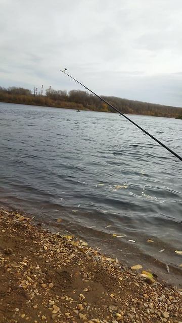 рыбалка на реке Уфа на фидер, осень 2025