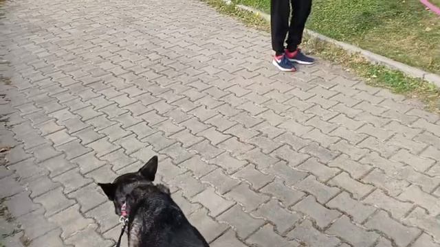 Осенний парк Динамо г.Хабаровск #Хабаровск#