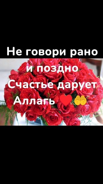 Мудрые слова сказанное