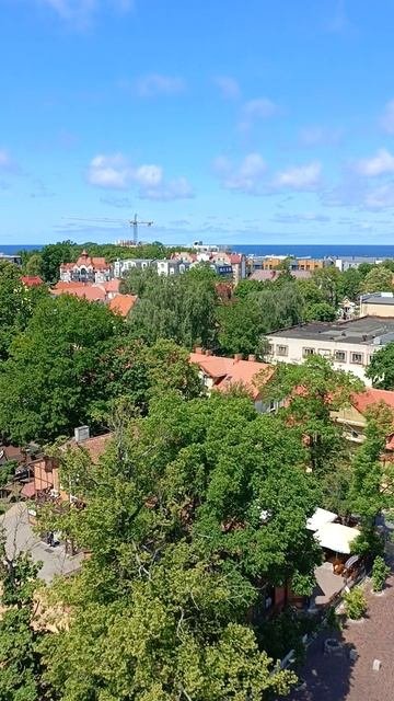 Мурариум смотровая площадка.Зеленоградск