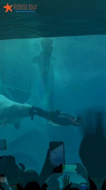 Остров Хайнань и отель Atlantis Sanya 5