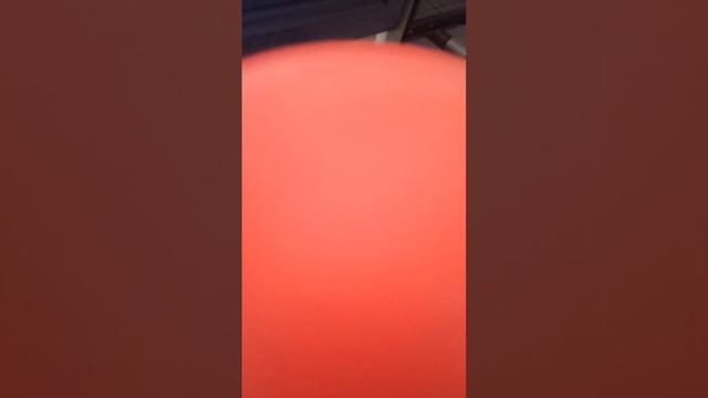 что было бы если тигр шлепа готовили пельмени