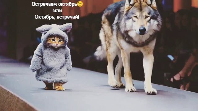 Доброго вам!