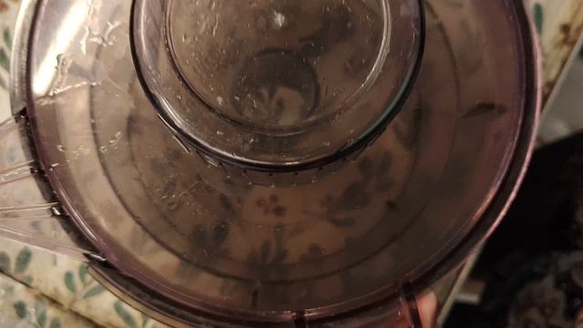 1000003803.mp4