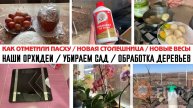 КАК ОТМЕТИЛИ ПАСХУ🕊️ НОВАЯ СТОЛЕШНИЦА✅ НОВЫЕ ВЕСЫ😍НАШИ ОРХИДЕИ🔥 УБИРАЕМ САД 🌱ОБРАБОТКА ДЕРЕВЬЕВ