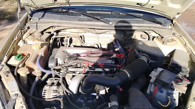 1000011173.mp4