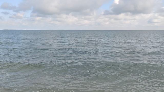 дельфин на море