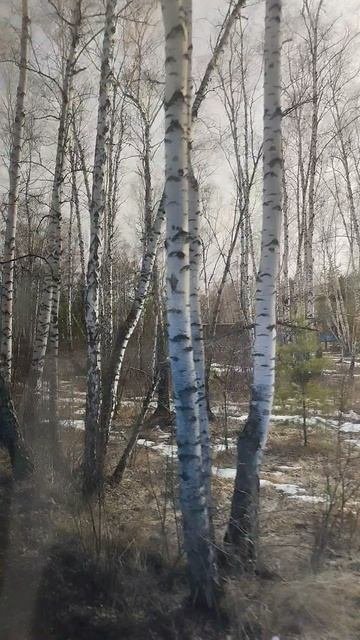 санатория Колос. г Омск