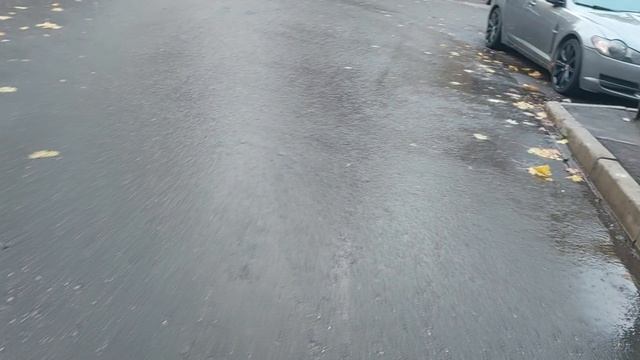 Осень Московская очей очарованье