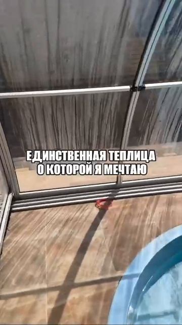 Теплица мечты