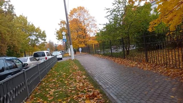 1000066150.mp4