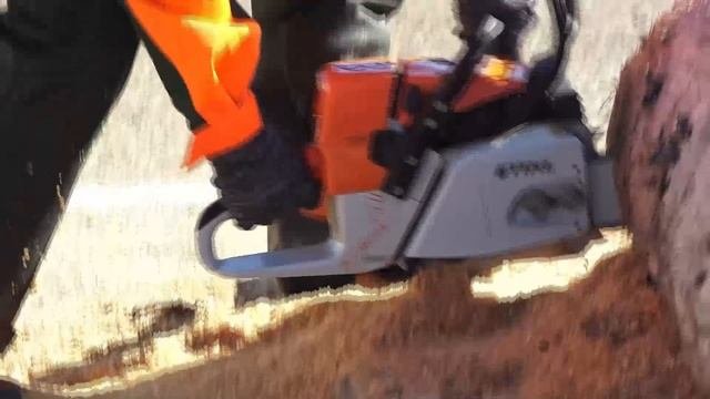 (10.10.2025) Лесное многоборье прошло среди студентов лесопромышленного техникума Комсомольска