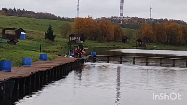 12.10.25. Поимки до зарыбления в VIP зоне