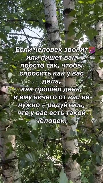 Мудрые советы