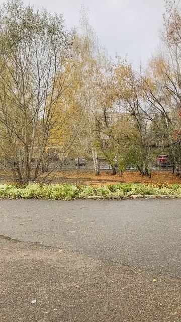 Осень бродяга