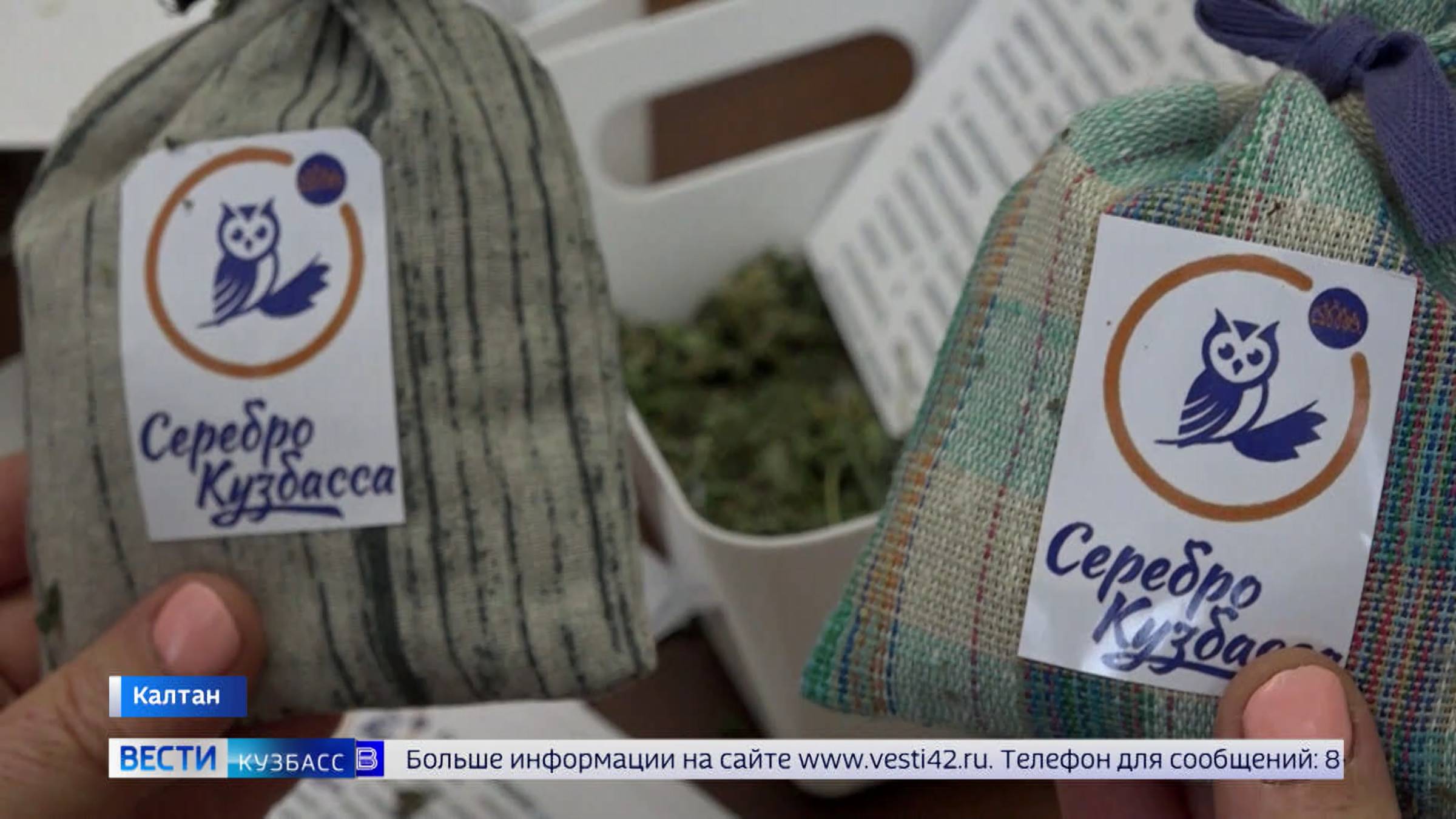 VI региональный форум серебряных волонтёров стартовал в Кузбассе