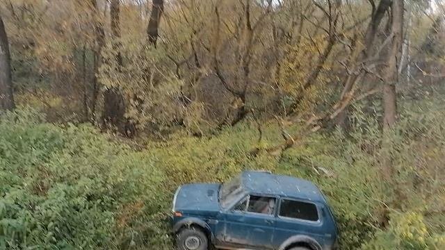 12.10.2025.Усадьба Парк Кино Ляхово. Парк Сибирских Кошек.Визитная карточка. Домодедово.Московская о
