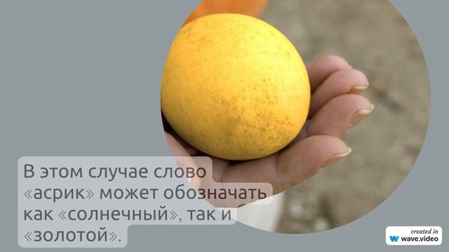 Фамилия Асриянц: всё что нужно знать о происхождении истории значении и склонении этой фамилии