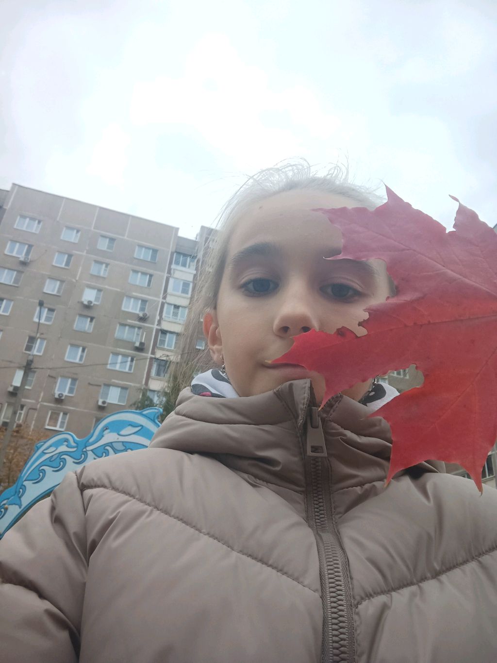 эстетичная фотка