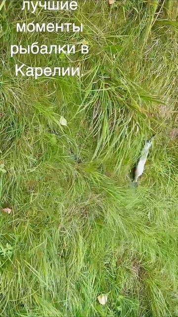 рыбалочка #рыбалка