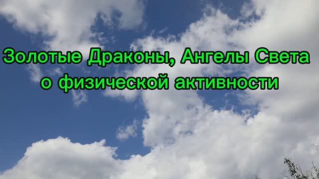 Золотые Драконы, Ангелы Света о физической активности 28.08.2025г (123 Послание)