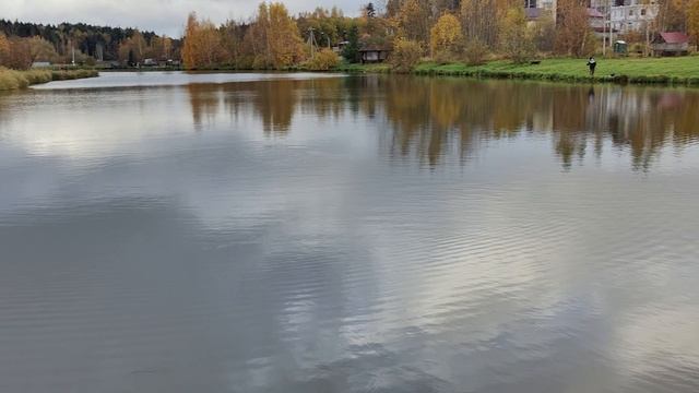 Доброе утро.