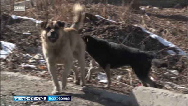 Ленинский районный суд Иркутска рассмотрит 12 исков о компенсации морального вреда в пользу детей