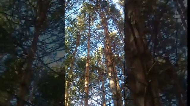 Ветер.
