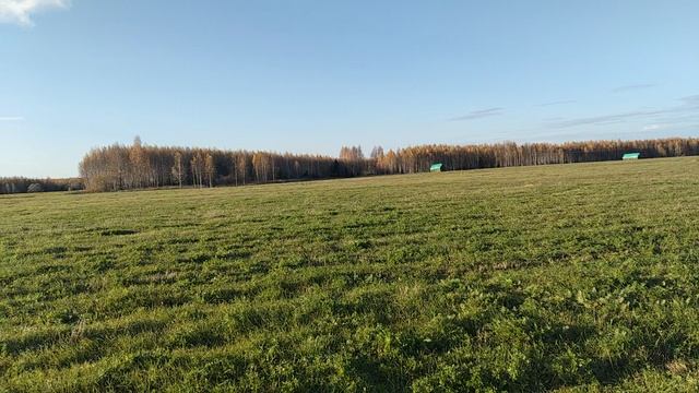 сенокос
