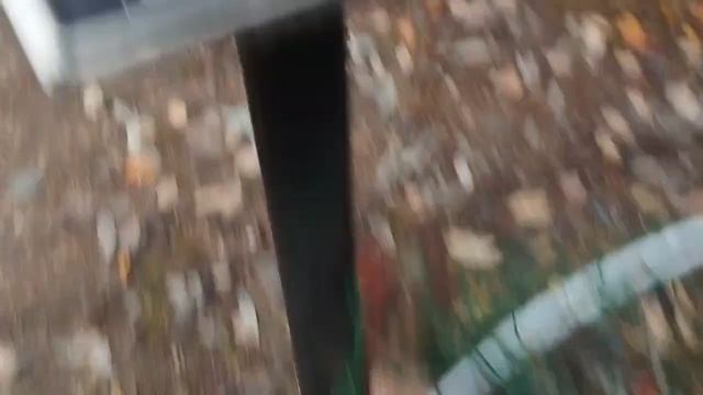 1000037499.mp4