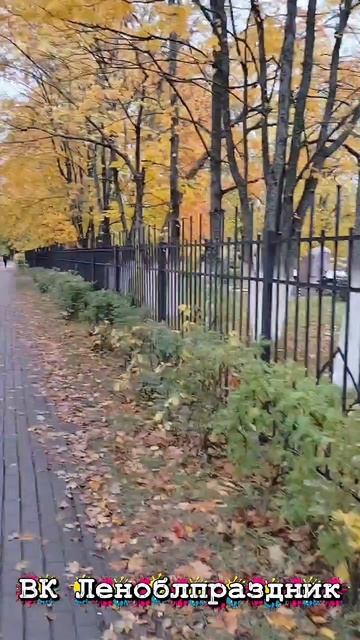 Призерск в золоте