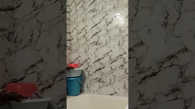 9196.mp4