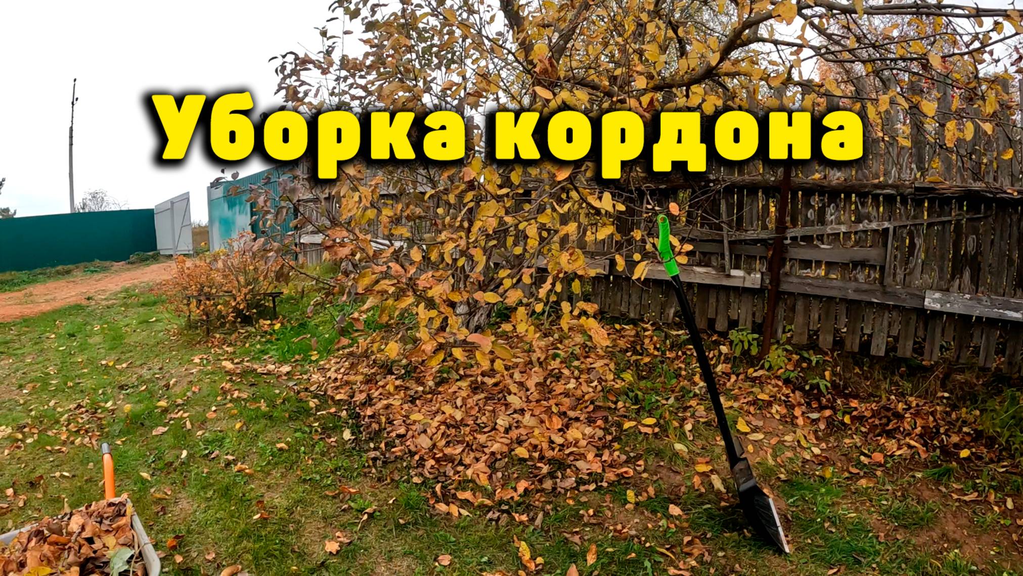 Уборка кордона. Подготовка к зиме