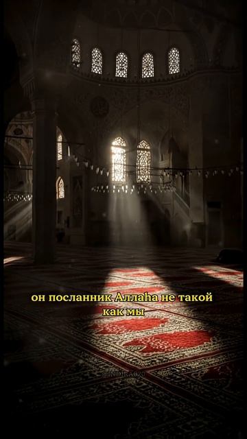 Одна из любимых молитв нашего Пророкаﷺ