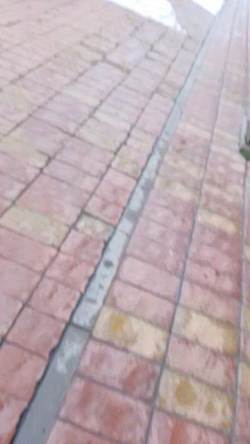 Мы с друзьями поиграли в ПРЯТКИ И я чуть не УМЕР от ОТДЫШКИ