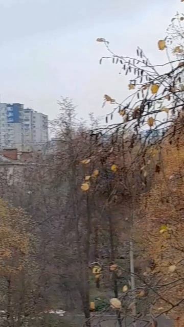Охота на птичек.