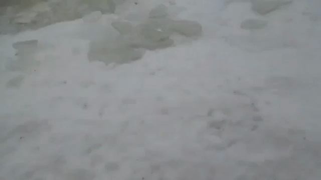 Кот эффектно ловит рыбу в проруби 😀👍