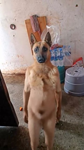 танцевать.mp4