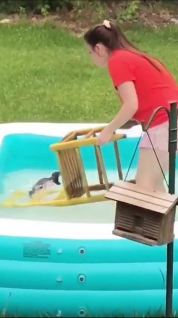 прикол бассеййн