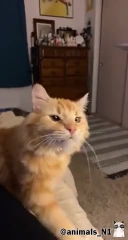 Вкусняшка