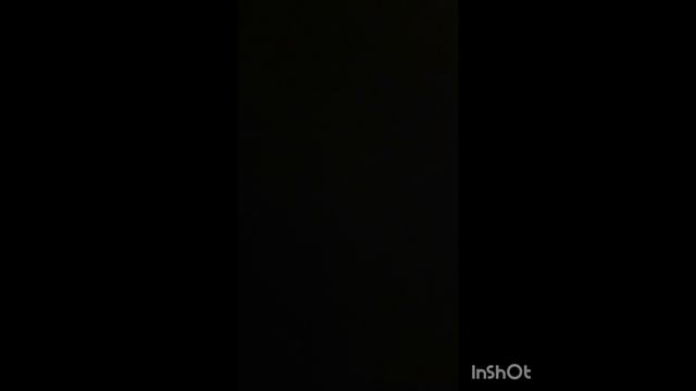 хомячками