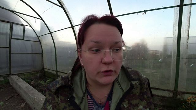 Почковый клещ на смородине. Что делать?