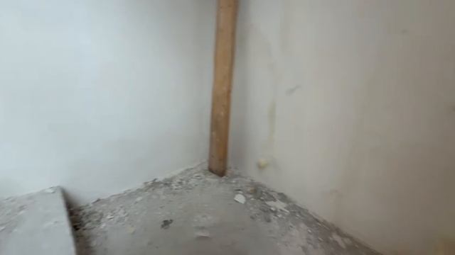 Video со звуком