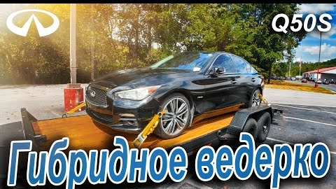 Купил гибридного финика